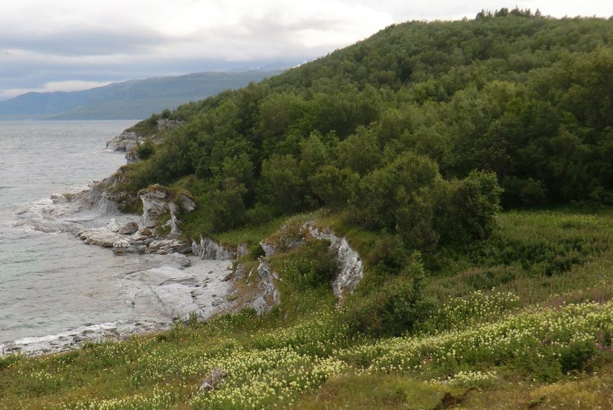 Figur 28. Strandberg av dolomitt på Skorpa, med overgang til gammel slåttemark og beitemark. Foto: Unni Bjerke Gamst.