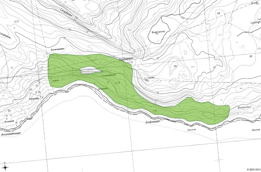 8.9 Lokalitet 9. Skorpa sør, kalkskog Naturtype (%): F03 Kalkskog Utforming: F0303 Kalkbjørkeskog Verdi: B Undersøkt dato: 18.07.