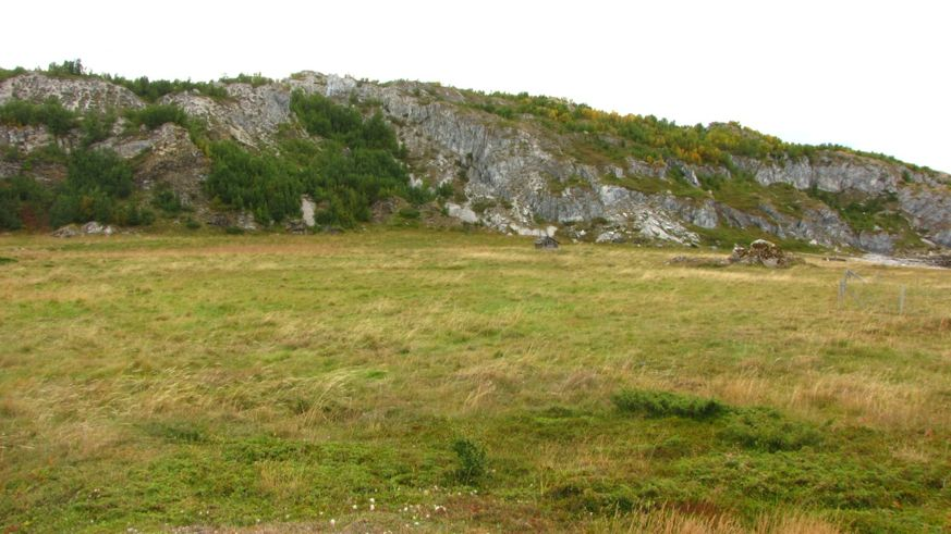 Figur 34. Enga ved Ytre Nøklan sett mot vest. I forgrunnen sees gjengroing med einer (Juniperus communis), gresset er dunhavre (Avenula pubescens).