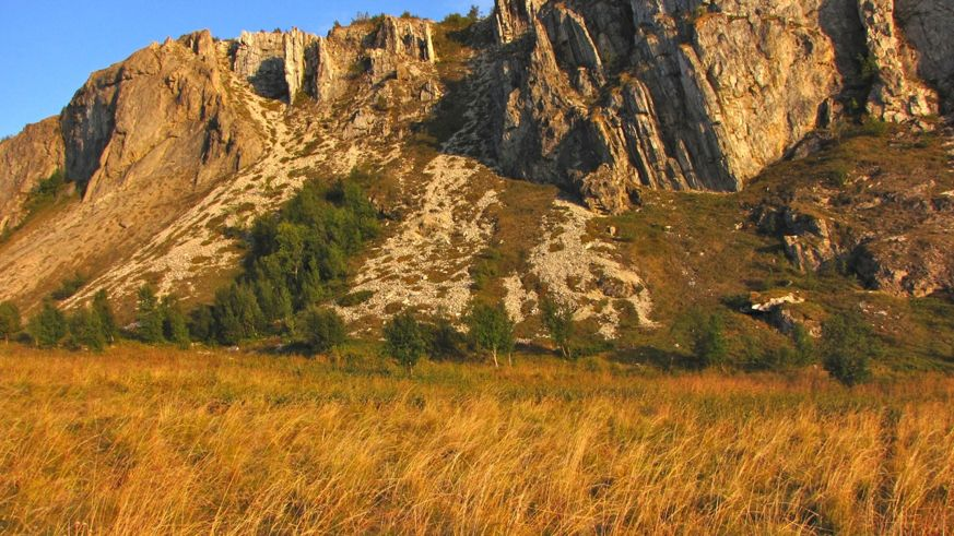 Figur 38. Utsnitt av de vestlige delene av dolomittrasmarkene ved Nøkkeleidet. Foto: Alicia Sánchez Mora.