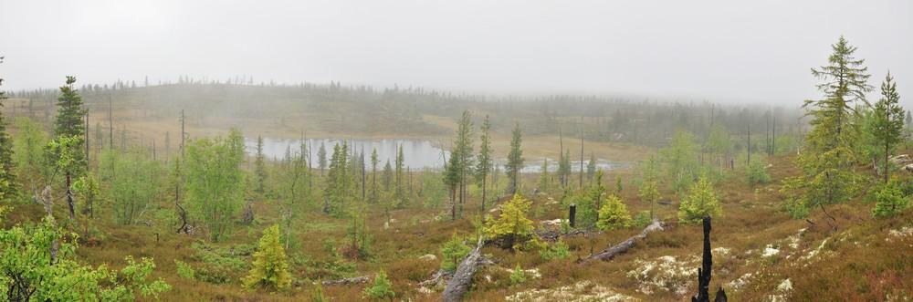 Nord for Gamleseterdalen Foto: H. Haaverstad, Politiet 1. Organisering Trillemarka-Rollagsfjell naturreservat ble vernet 5.