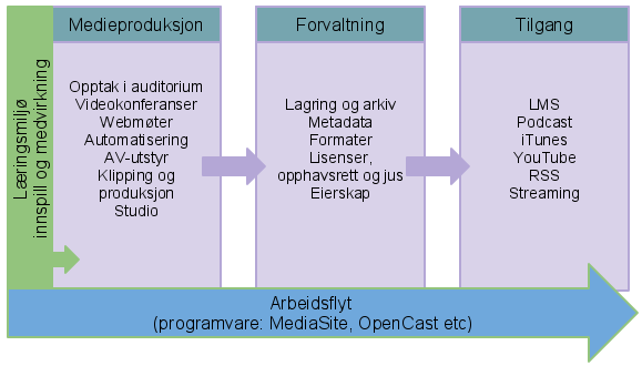 Medieproduksjon skjer på flere ulike måter, og noen av de ulike feltene der det skjer opptak er Opptak av forelesning i auditorium Opptak knyttet til videokonferanse mellom videorom/auditorier I