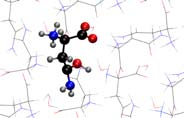 The radia on induced radicals in l asparagine monohydrate at 295 K are known [1], but understanding the nature of the early radia on induced products requires experiments performed at the lowest a