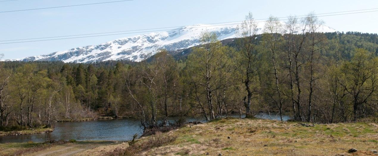 I prosjektet Landskapskartlegging av kysten i Sogn og Fjordane i regi av Sogn og Fjordane fylkeskommune er det gjort en grov, regional kartlegging og analyse av kystlandskapet i Sogn og Fjordane.