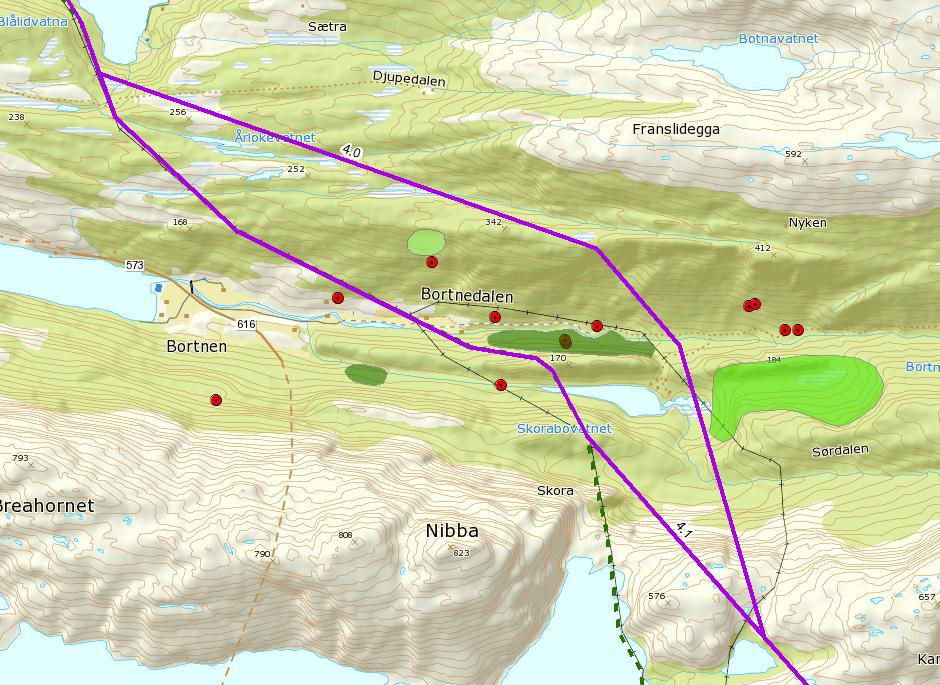 3 Naturmiljø 3.1 ÅLFOTEN RUGSUND 3.1.1 Verdivurdering 3.1.1.1 Naturtyper og vegetasjon Det er flere registrerte verdifulle naturtyper og truede arter langs traseene, konsentrert i Myklebustdalen og i Bortnedalen.