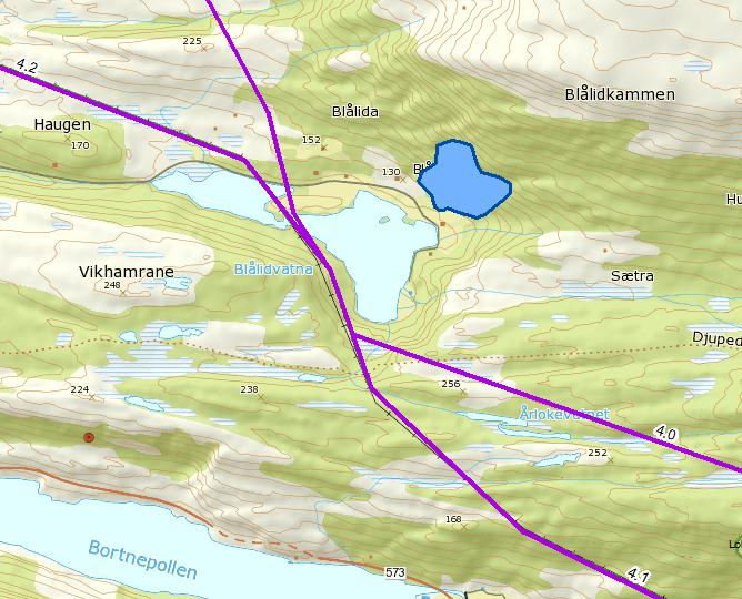 Ved Blålida har Norconsult undersøkt en sørvestvendt li med elementer av gammel løvskog og edelløvskog. Denne er ikke tidligere vurdert i forbindelse med naturtypekartlegging.