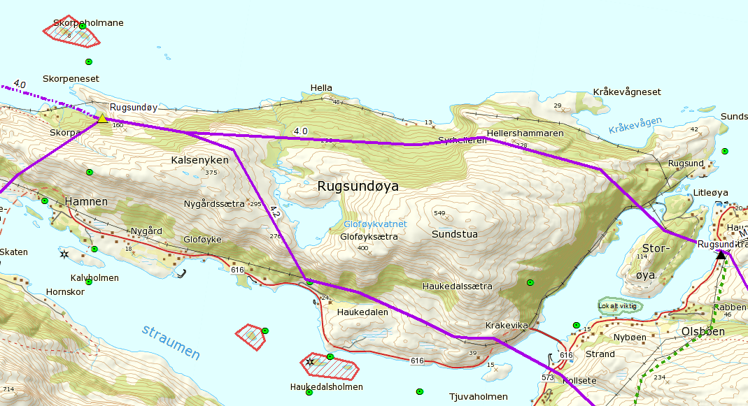 Figur 3-5 Rugsundøya med de vernede sjøfuglreservatene på nord og sørsiden samt registrerte truede arter (ikke rovfugl).