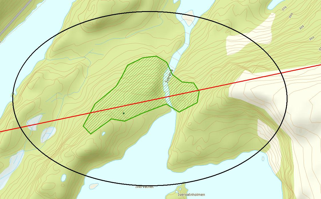 Figur 3-9 Det undersøkte området ved Sørdalsvatnet er angitt med sort ring. Naturtypen kystfuruskog med verdi B er vist med grønn skravur. Alternativ 1.6 er vist som rød linje.