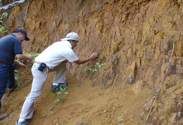 Mindoro Nickel limonite ressurser (estimerte og antatte, 2007) Lisens Tonnasje Ni Co Mg Si Lower Kisluyan (MPSA-167) 63.5 mill t 0.90% 0.074% 4.1% 9.0% Buraboy area (AMA-103) 50.6 mill t 0.88% 0.