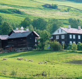 Holzbauweise, mondäne Strandhotels, historische