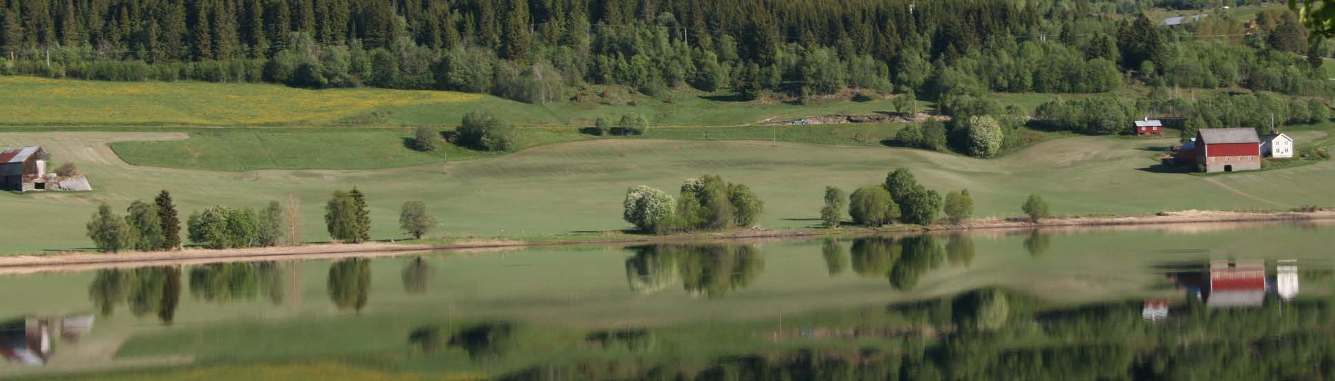 Jordbruksareal i AR5 Fulldyrka jord er jordbruksareal som er dyrka til vanlig pløyedybde, og kan benyttes til åkervekster eller til eng, og som kan fornyes ved pløying.