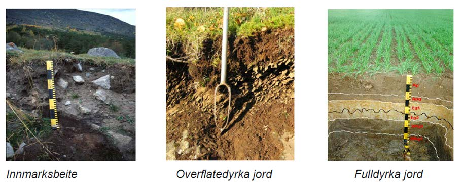 Dyrkingsgrad Typiske jordprofil på innmarksbeite,