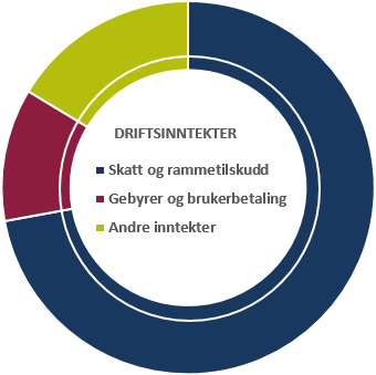 Andre inntekter viser 146,6 mill. kroner, en merinntekt i henhold til budsjett på 33,8 mill. kroner. Merinntekten skyldes overføringer med krav til motytelse som utgjør 24,8 millioner og andre statlige overføringer på 8,7 mill.