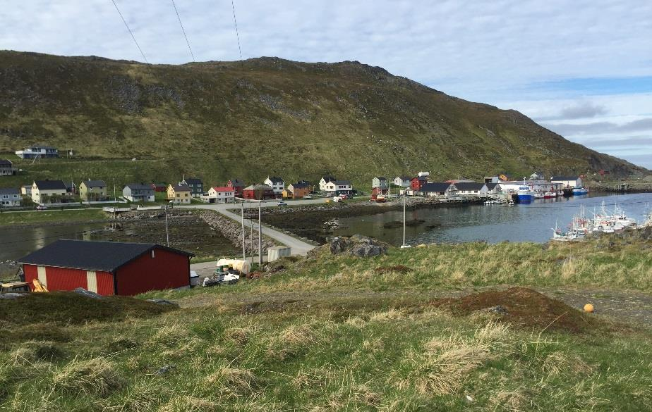 Planområdet sett fra sørlig del av byggeområdet mot nordøst.