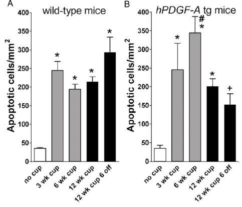 fra multipotente nevrale stamceller eksponert for forskjellige vekstfaktorer. FGF pluss EGF ble brukt som kontroll. PDGF ga den største økningen. (Gibney et al.