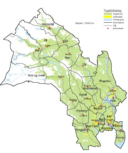 6.2 Utdypende fakta 6.2.1 Arealressurser Buskerud er sine 14.911 km² et arealmessig stort fylke. 85% av arealene er skog, åpen fastmark, våtmark og fjell.