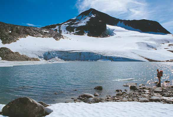 REINHEIMEN NASJONALPARK Reinheimen Nasjonalpark eit viktig leveområde for villrein Lokalisering: Frå Trollstigen i nord til Vågåmo i sør og mellom Romsdalen og Dombås i aust til Tafjord og Billingen