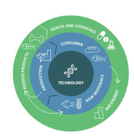 Innovative technology and biorefinery solutions, enhancing aquatic production, profitability and job creation, will be implemented in cooperation with private and public stakeholders.