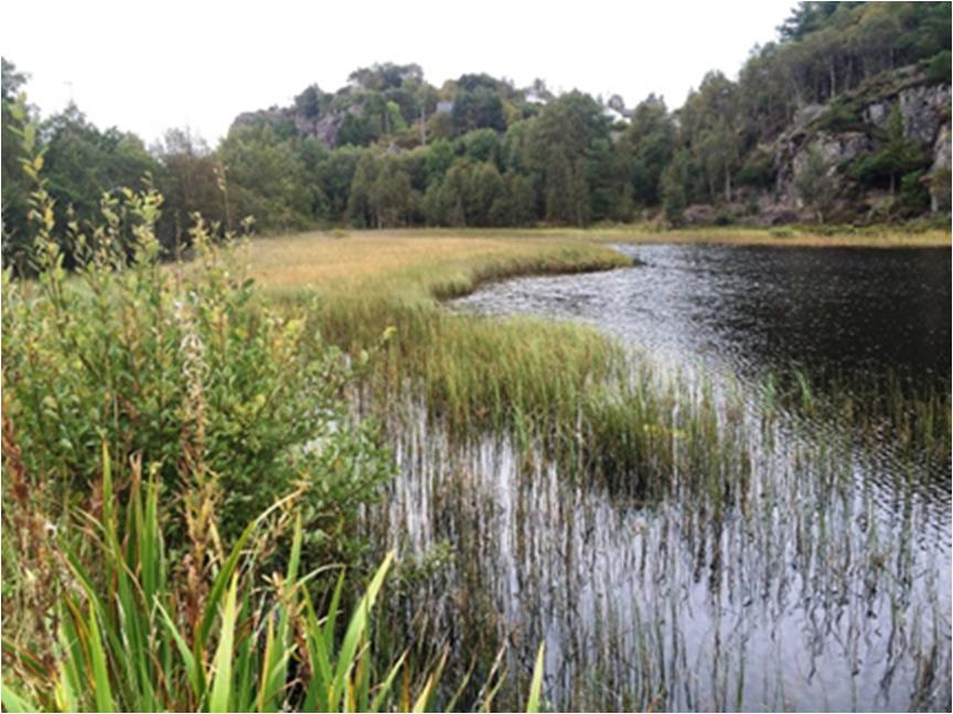 Det er ikke ønsket at renset tunnelvaskevann føres hit, men bør slippes ut i fjorden. Før utslipp må vannet sedimenteres og sedimenteres i egen tank i bunn av tunnelen før utslipp.