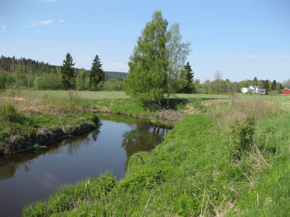 Arealet langs vassdragene Biodiversitet Matproduksjon Renseeffekt i buffersoner Tap til