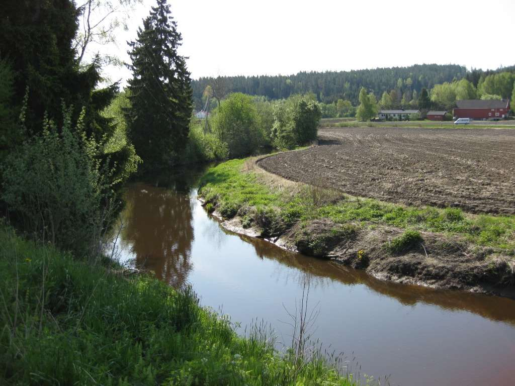 Trær og busker Åker Foto: A-GBB Naturlig gras