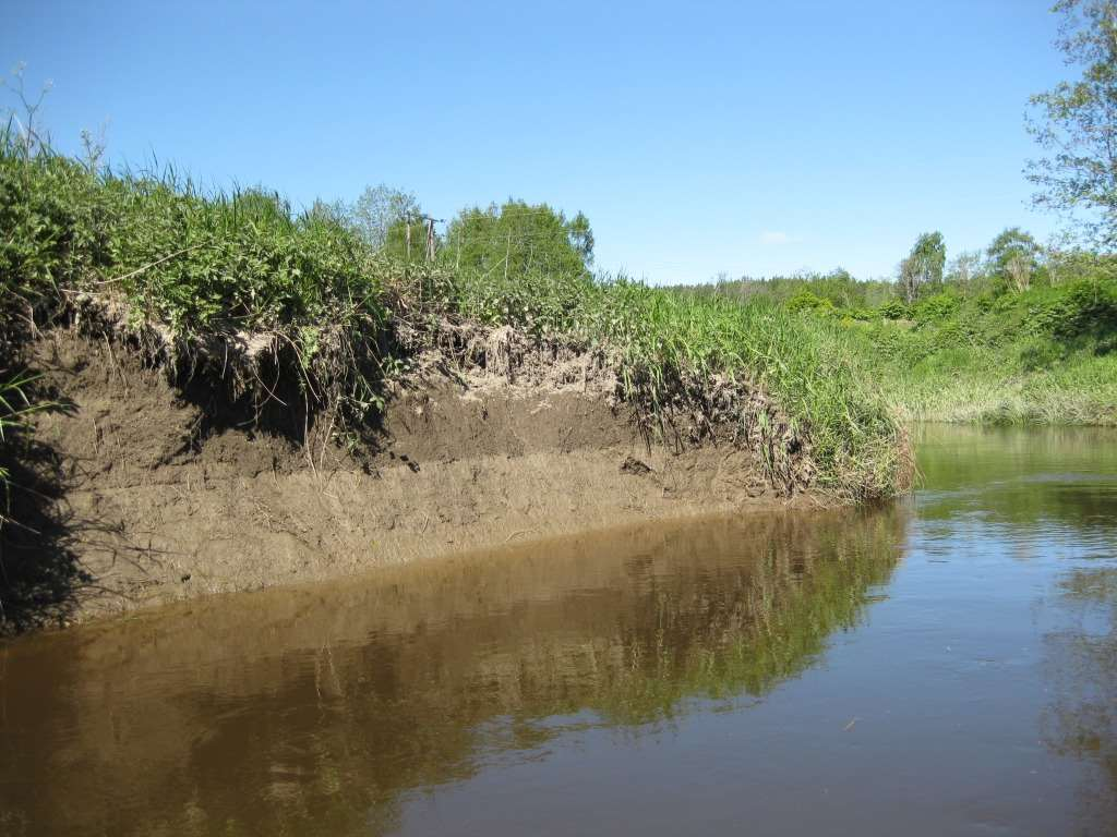 Kanterosjon øker når det ikke er trær og busker som armerer elvebredden og hjelper ikke mot det som kommer fra grøftene Buffersoner med gras