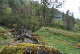 Verdivurdering Stølsgrenda med bygg og steingardar på stølsvollen har først og fremst kunnskapsverdi ved å representere typisk utmarksdrift i lokal og regional samanheng.