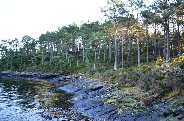 En samlet oversikt over alle de avgrensede naturtypene er vist på kart i figur 8 og i figur 11.