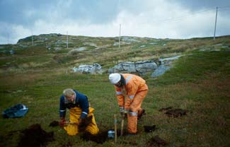 Vegetasjonshistorie og bosetningsfaser på Melkøya og Meland gjennom de siste ca. 10.000 år.