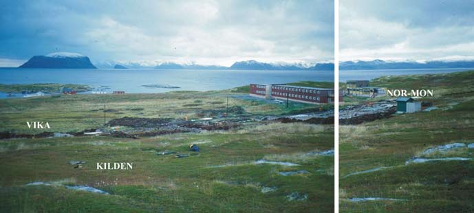 Lave knauser med engkvein (Agrostis capillaris), sølvbunke (Deschampsia cespitosa), smyle (Avenella flexuosa) og andre grasarter, engsyre, krypsoleie (Ranunculus repens), blåklokke, ryllik (Achillea