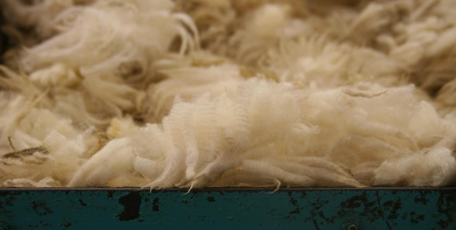 HVA KJENNETEGNER NORSK ULL? Siste ullår ble det klassifisert 4 260 tonn ull totalt i Norge. I tillegg kommer ulla skinn. Dette kommer fra omlag 1 450 000 lam og 900 000 voksne dyr. går til ulla skinn.