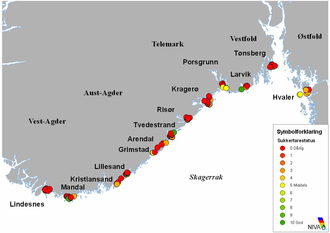 stasjonene som ble undersøkt av UiO i 1989 var det gode forekomster av sukkertare fra ca 2-10 m dyp. Undersøkelsene i 2007 indikerer en nedgang på stasjon Akerøya (G27) siden den gang.