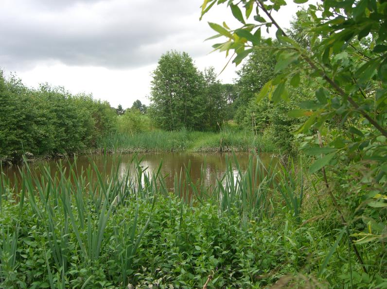 Prioriteringen samsvarer med kommunale planer. Hydrotekniske anlegg og økologiske rensetiltak (fangdammer) er de viktigste tiltakene.