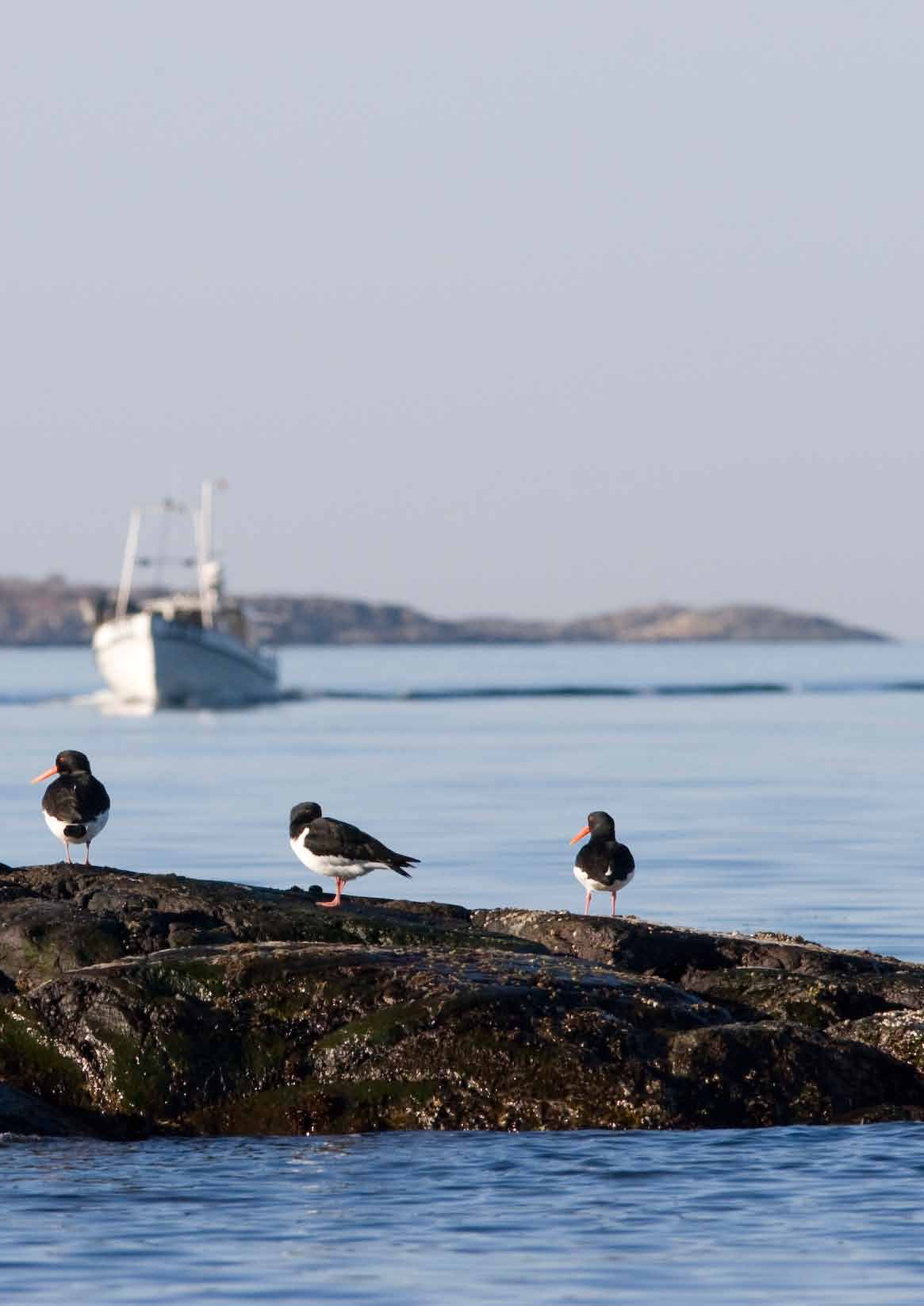 Kapittel 2 Status i sårbare og verdifulle områder med