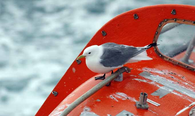 RAPPORT FRA OVERVÅKINGSGRUPPEN 2009 27 3.7 Sårbare og truede arter og naturtyper Vurdering i St.meld. (ca.