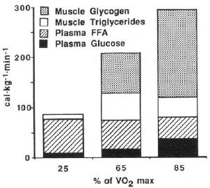 Figur 2.2: Energibidraget fra glukose, frie fettsyrer, muskeltriglyserider og muskelglykogen etter 30 min sykling på 25, 65 og 85 % av VO 2maks. Hentet fra Romijn et al. (1993).