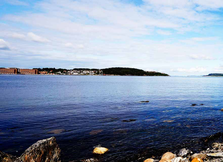 Utbygger OBOS Nye Hjem OBOS sine tradisjoner går tilbake til 1929, og selskapet er i dag Norges største boligforvalter. OBOS har nærmere 260.000 medlemmer og over 140.000 boliger under forvaltning.