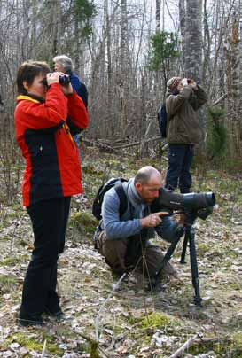 Øivind Lågbu NATUR I ØSTFOLD 28(1-2) 2009 Energi. Svar fra Fylkesmannen i Østfold er ikke mottatt p.t. (18.2.2008).