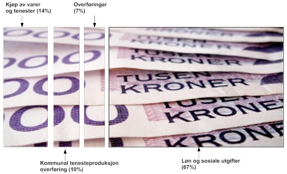 4. Kommunen sine driftsutgifter Brutto driftsutgifter veks med 4,4 % frå budsjett 2016 til budsjett 2017. Ny føringsmåte/utvida aktivitet flyktningar er meir enn 50% av denne auken.