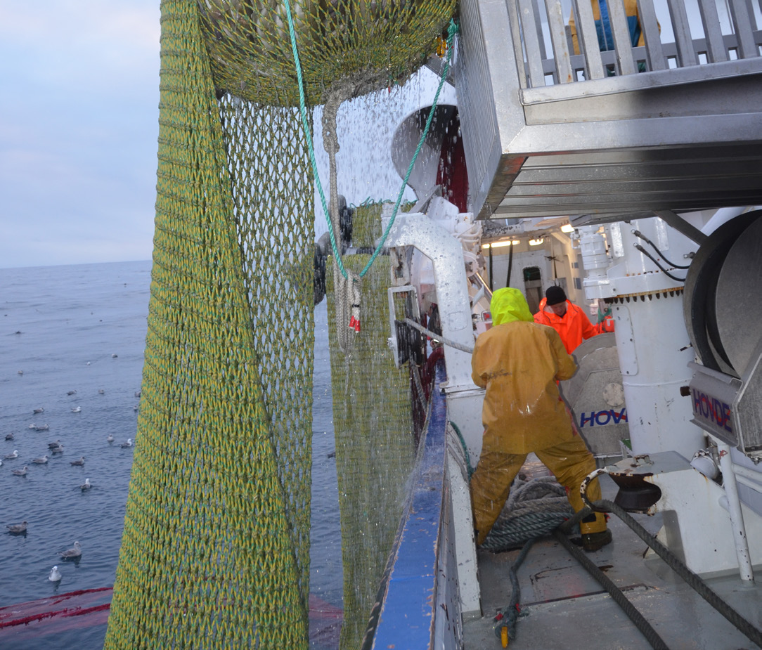 30 31 FISKERI- OG FARTØYTEKNOLOGI Den norske pelagiske fiskeflåten er i stor utstrekning fornyet og modernisert i løpet av de siste årene og er verdensledende innen sitt område.