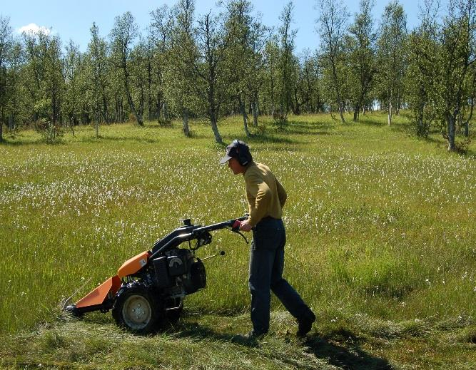 Ved feltarbeid i 2012-13 ble det oppsøkt en rekke myrer av denne typen, og vi er nokså sikre på at mange av