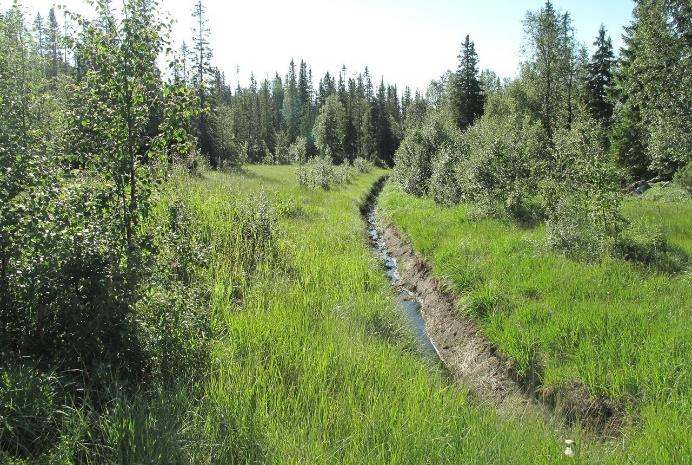 Grøfting for oppdyrking er derimot fremdeles betydelig, og er anslått til ca. 6 km² (6000 daa) årlig de siste åra (Grønlund 2013).