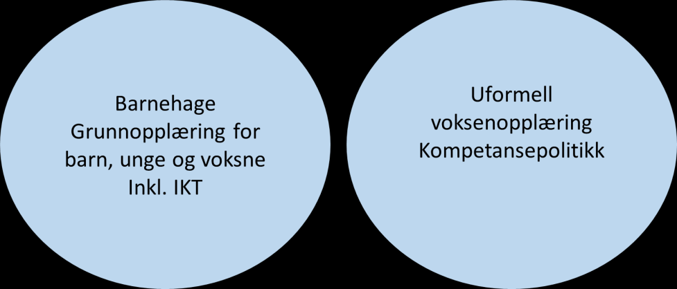 inkludert IKT-oppgaver, mens den andre virksomheten har ansvar for all opplæring for voksne og kompetansepolitikken.