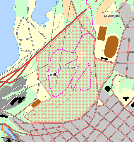 2. INNLEDNING 2.1 Bakgrunn Larvik Bøkeskog landskapsvernområde ble opprettet 6. juni 1980, se verneforskriften vedlegg 9.1. Verneområdet ligger i Larvik kommune.