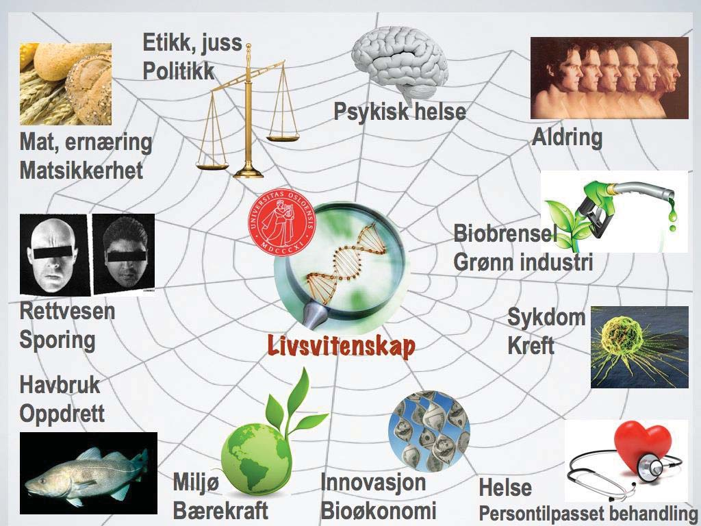 I dag er livsvitenskap en vitenskap med et enormt nedslagsfelt. DNA-analyser er blitt vanlige og tungtveiende bevis i rettsaker. Fiskeoppdrett er blant Norges viktigste inntektskilder.