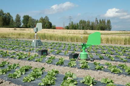 Fangst av sporer i sporefeller To ulike typer sporefeller er brukt til å samle sporer i luft over forsøksfelt i salat, løk og agurk i perioden 2005 til 2009 (Figur 17).