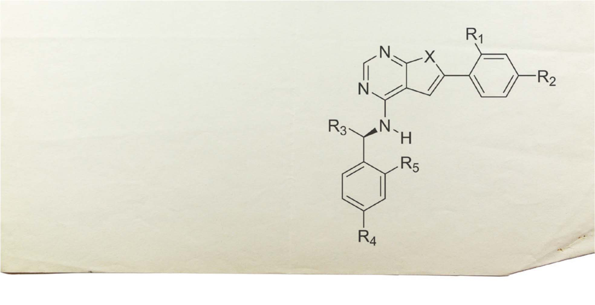 GULLEGG TTO 2013 Kinase Inhibitors Scientists from NTNU in Trondheim have synthesized numerous substances that show promising activity as inhibitors of several kinases including the