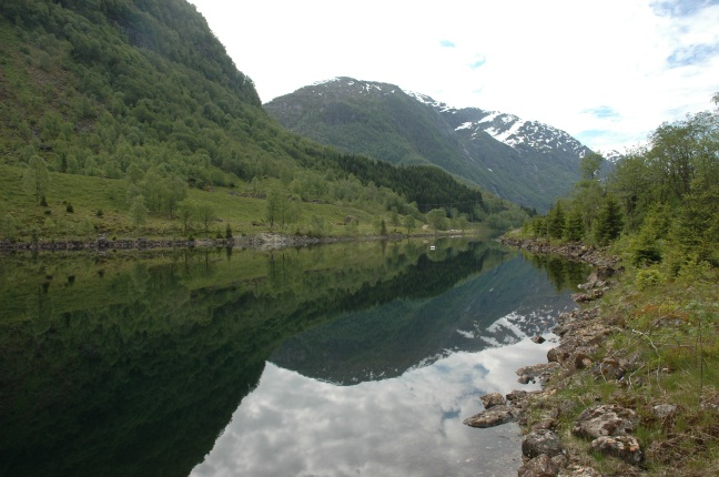 Et annet problem med en slik løsning vil kunne være at en kan få sedimentasjon av kalk i Steinslandsvatnet. Figur 7. Utløp av Kraftverket ved Steinslandsvatn, bildet tatt mot nord. 4.2.