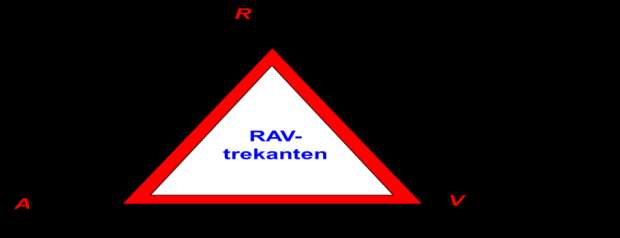 Betingelser Kort om alkalireaksjoner Reaktivt tilslag Alkalier Vann Symptomer Opprissing Krakeleringsriss på frie flater Riss parallelt med