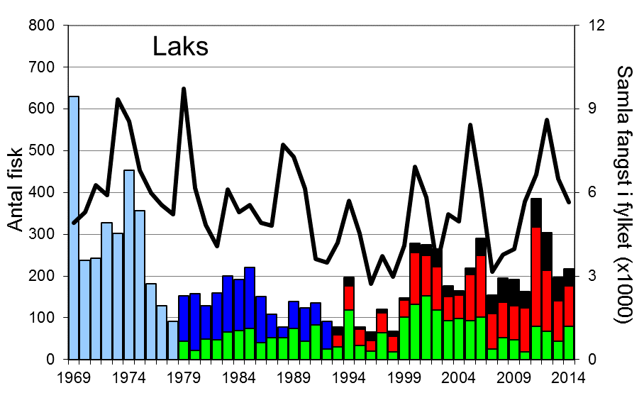 3 FANGST AV LAKS OG SJØAURE 3.1. Fangst av laks og bestandsutvikling I perioden frå 1969 til 214 vart det i gjennomsnitt fanga 2 laks i Gloppenelva, med ei snittvekt på 4,9 kg.